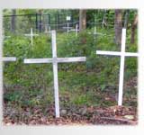 deer startled in cemetery