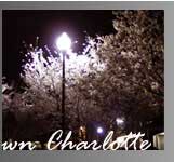 Christmas bow and bells