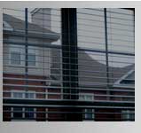 blossoming tree and street light.